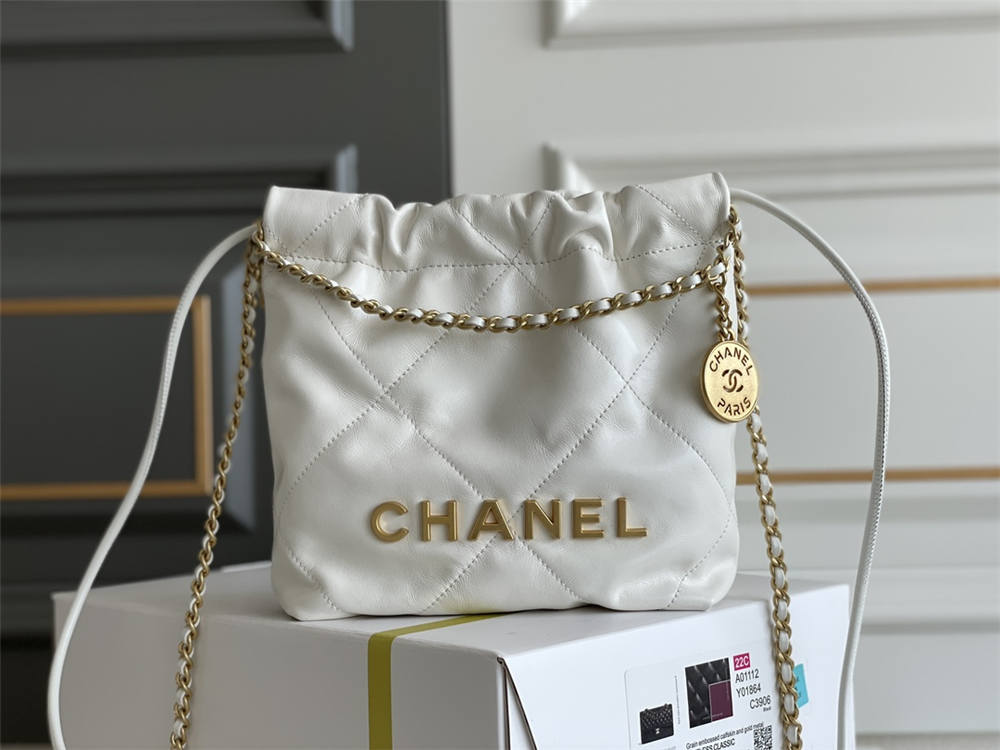 Chanel 22 min 20x19x6cm 2025 new 